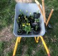 Gartenwerkstatt für Kinder Gartenwerkstatt für Kinder
