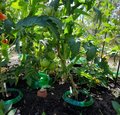 Willkommen in der Beetplanung Willkommen in der Beetplanung